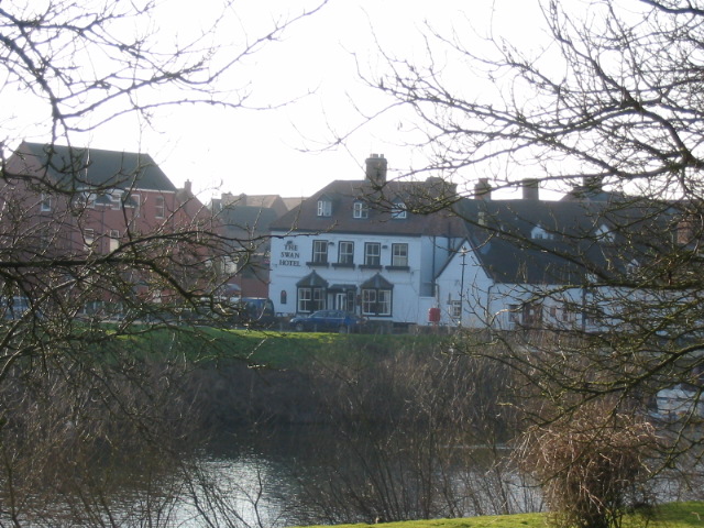 File:Swan across river.jpg